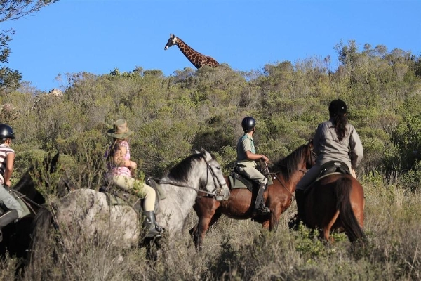 Hotel Botlierskop Private Game Reserve (Mossel Bay)